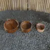 Product image 1 of the product “Salad bowls round, flat from teak root wood, Set of 3. Sizes: L: 31x31x10cm H. M:28x28x9cm H. S: 23x23x8cm H. ”